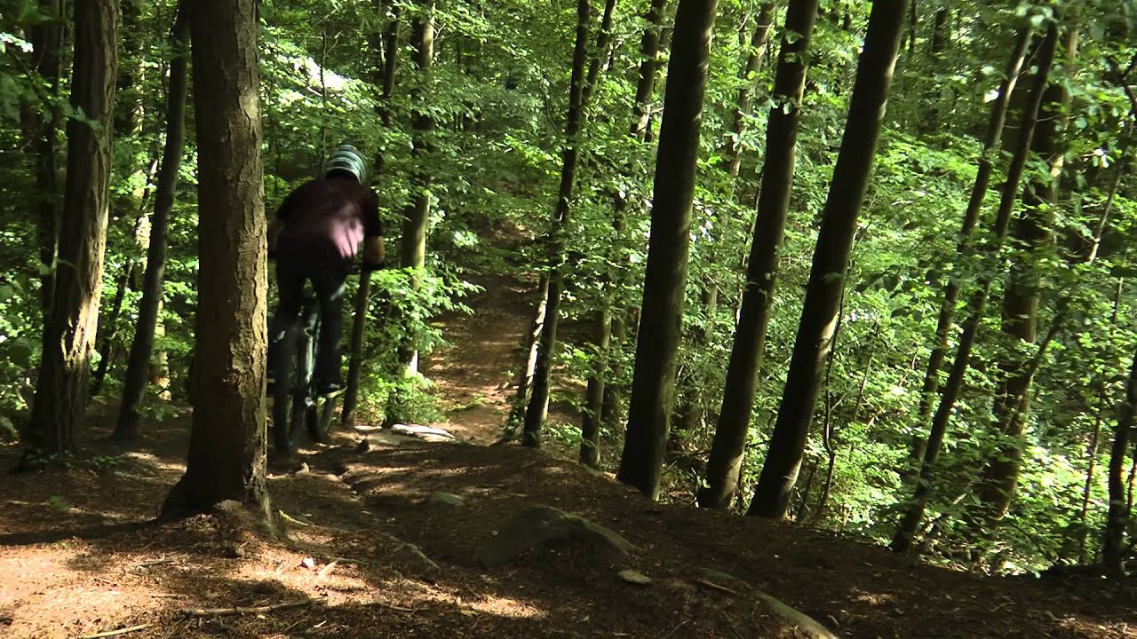 Singeltrail Flow