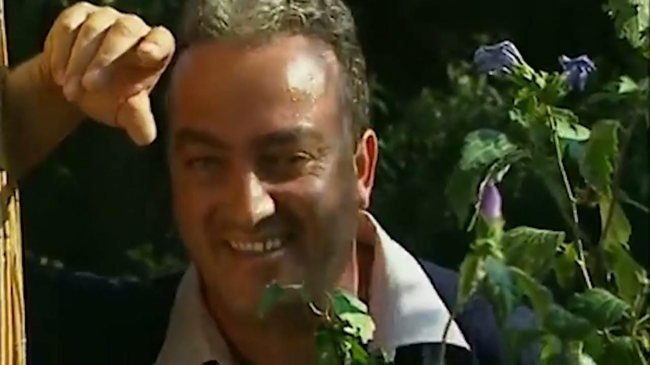 Mudù compilation 12