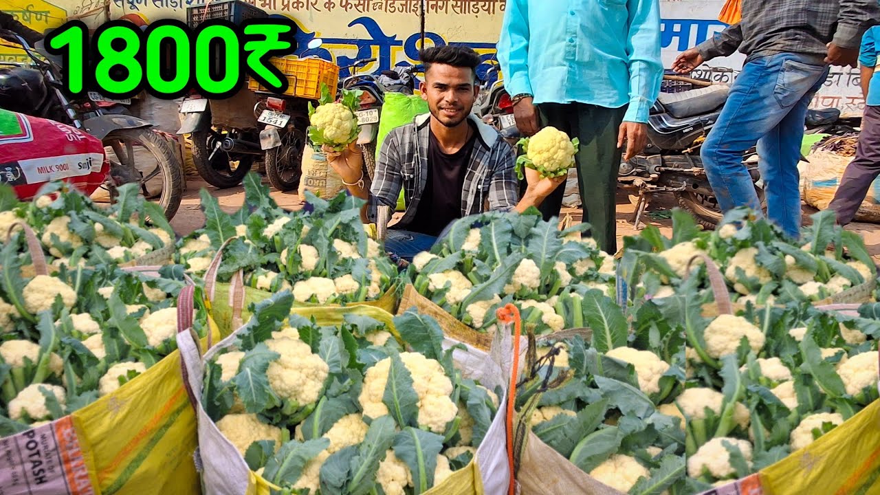 Aaj Pahli Baar Sell Kiya Maine Itna Sara Phulgobhi😲 How Much Profit I Made?