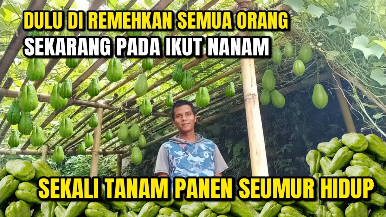 PETANI CERDAS, ANTI GAGAL SEKALI TANAM PANEN SEUMUR HIDUP