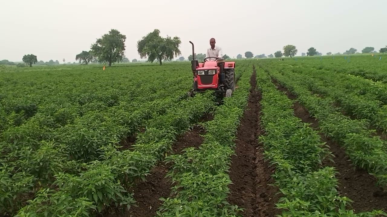 mahindra yuvaraj:215 tractor  with height weel modification bperformance...
