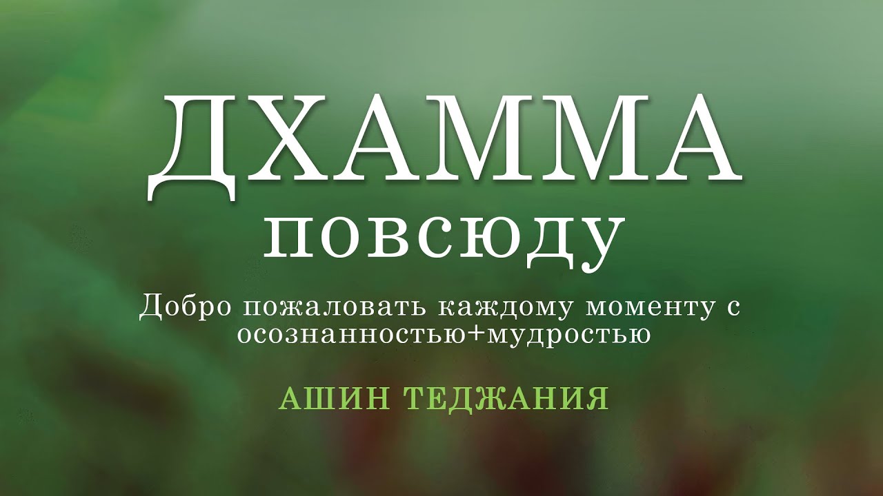 Ашин Теджания - ДХАММА ПОВСЮДУ. Добро пожаловать каждому моменту с осознанностью+мудростью.