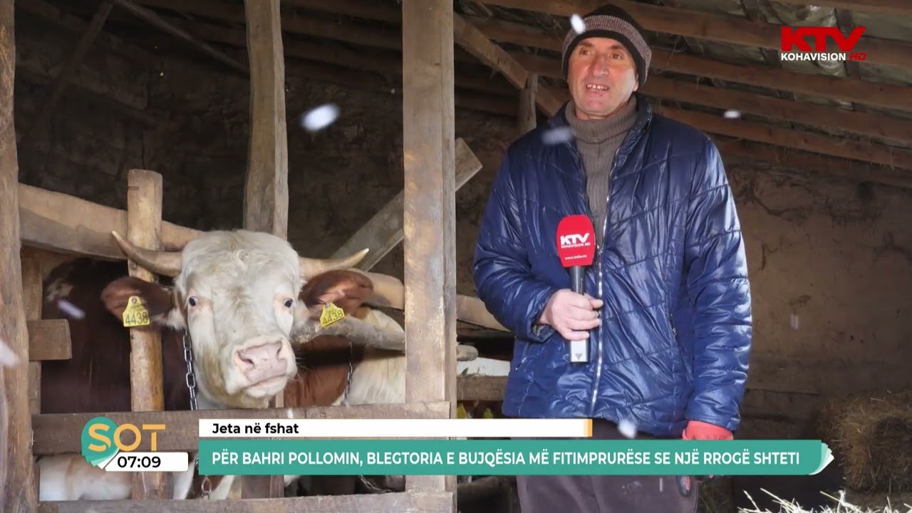 Për Bahri Pollomin, blegtoria e bujqësia më fitimprurëse se një rrogë shteti 17 04 2025