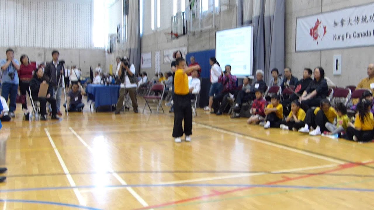 June 13, 2015 - Jason Hand Form at 2015 Panam Kung Fu competition