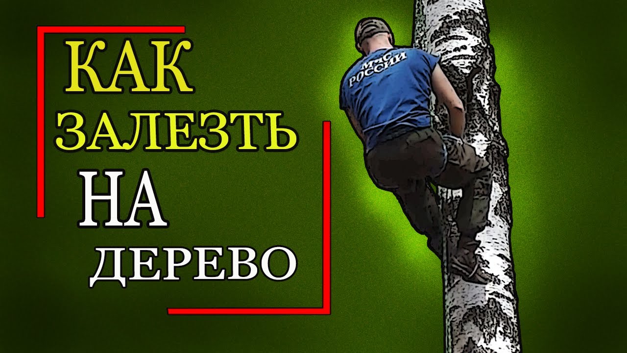 Как залезть на дерево. Схватывающий узел Прусика