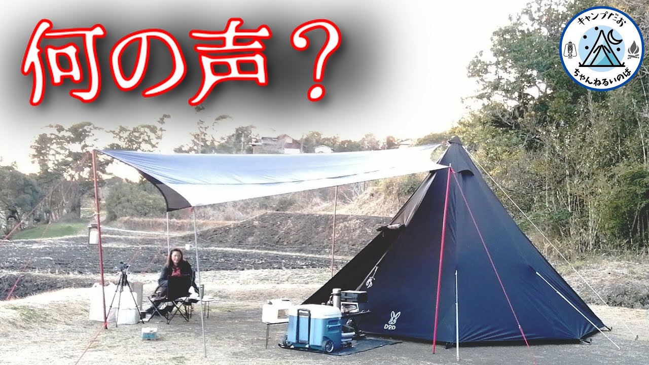 【夫婦キャンプ】夜に聞こえるおぞましいキョンの声　初心者キャンパーには聞いた事のない声でした。【キャンピングヒルズ鴨川】【DODワンポールテント】【犬連れキャンプ】