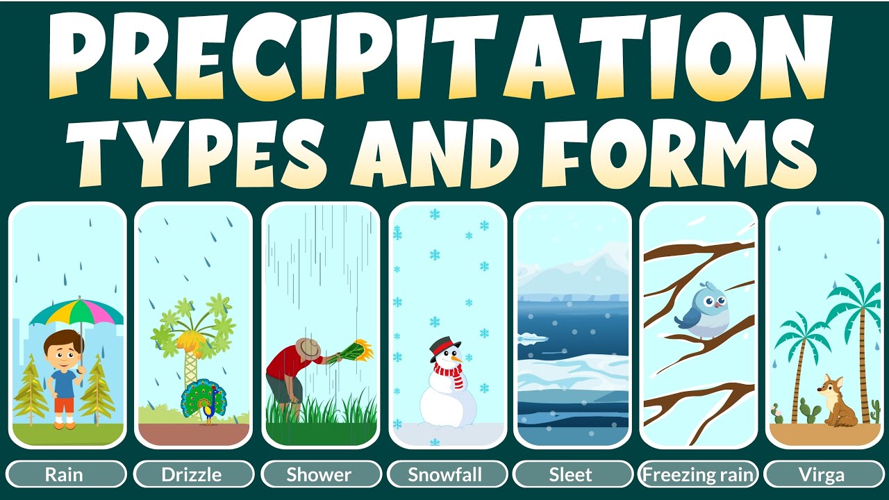 Types of Precipitation - Forms of Precipitation - Learn about Precipitation