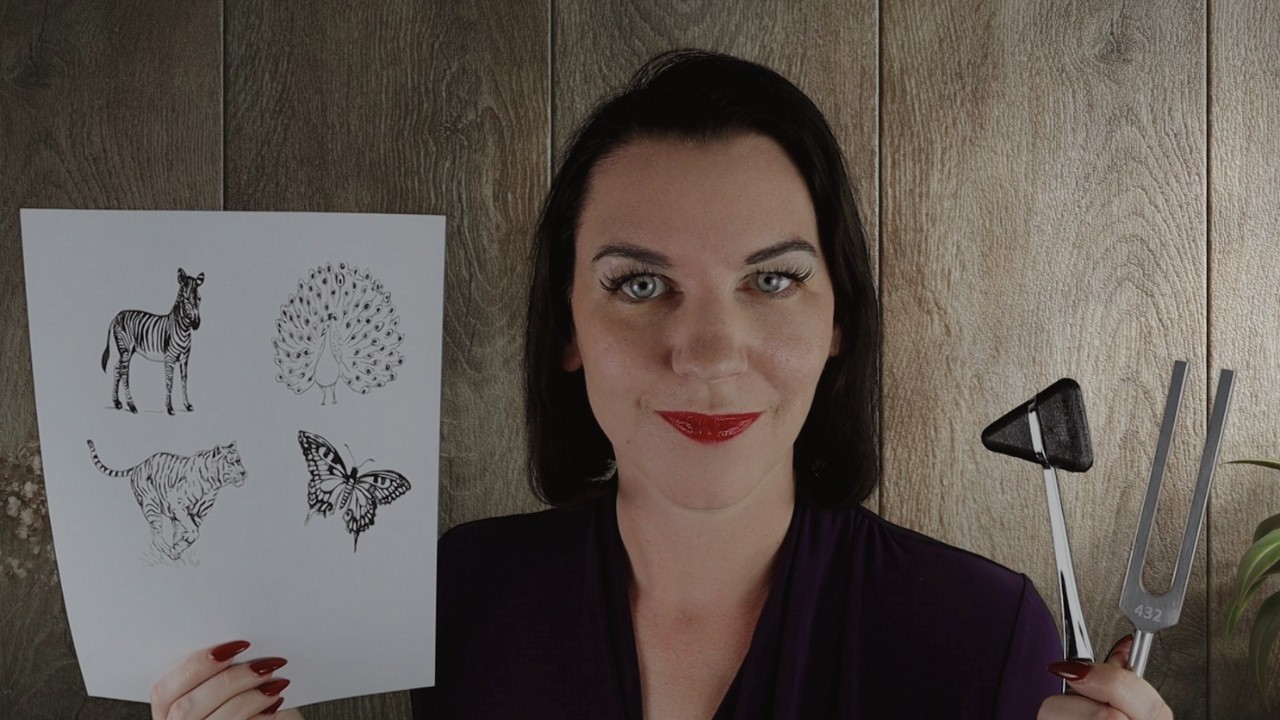 Full Neurological Assessment ASMR (cognitive assessment and medical exams)
