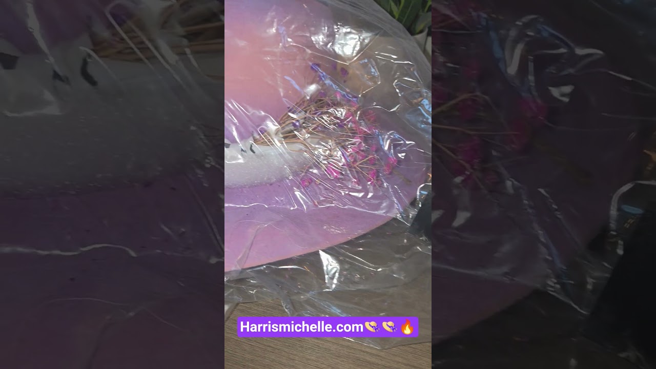 harrismichelle.com 