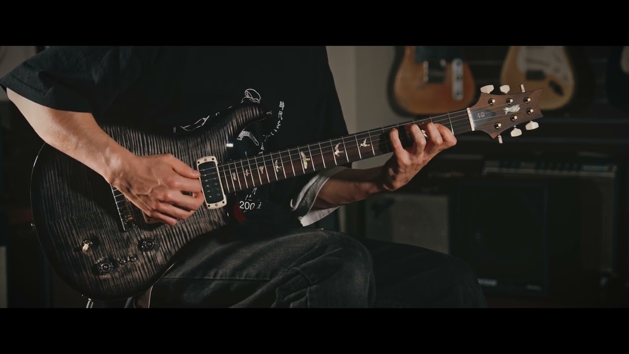 Paul Reed Smith Charcoal Phoenix Limited Edition Charcoal Phoenix