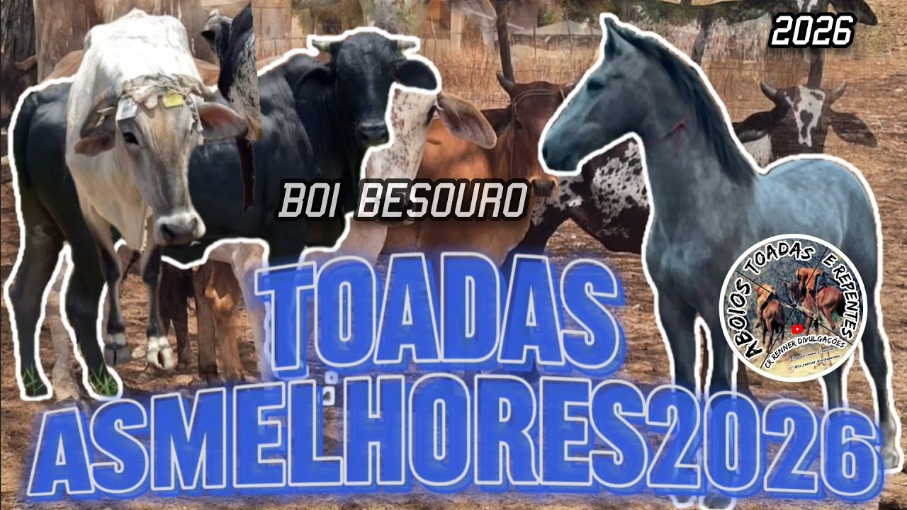 Toadas  As Melhores 2026 - Gado Brabo do Sert&atilde;o - Aboios Toadas e Repentes 
