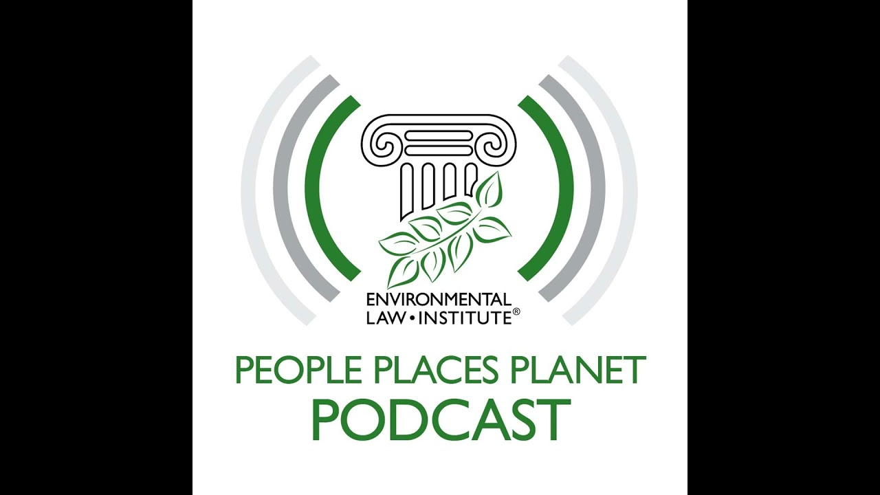 A New Era? Private Sector Leadership in Environmental Law