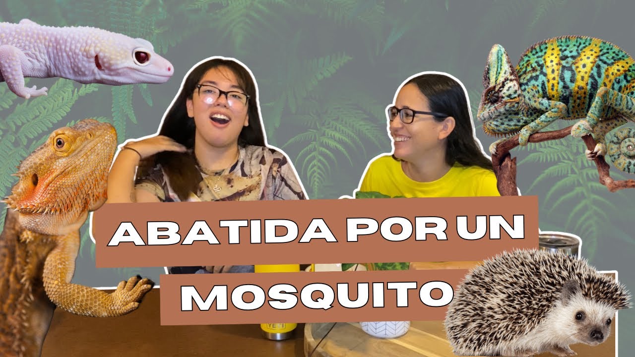 T2EP08 Mi CAMALEÓN murió por TÚ CULPA 😨 ¿El cliente siempre tiene la razón? 🤨 | Cotilleo bichero