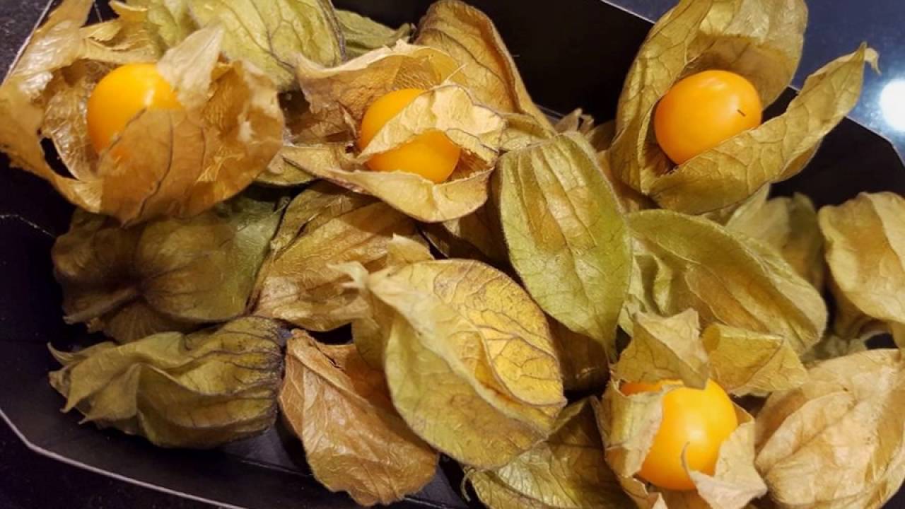 Eiscafe Amici Hassfurt