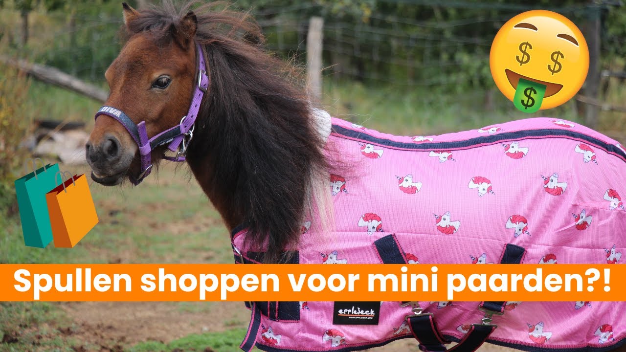 HEEFT EPPLEJECK SPULLEN VOOR MINI PAARDEN?! 😍💸 | EPPLEJECK