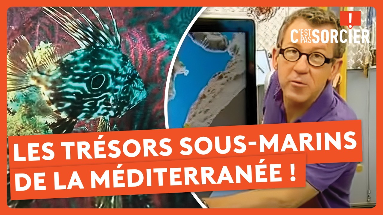 Les tr&eacute;sors sous-marins de la M&eacute;diterran&eacute;e ! - C'est pas sorcier
