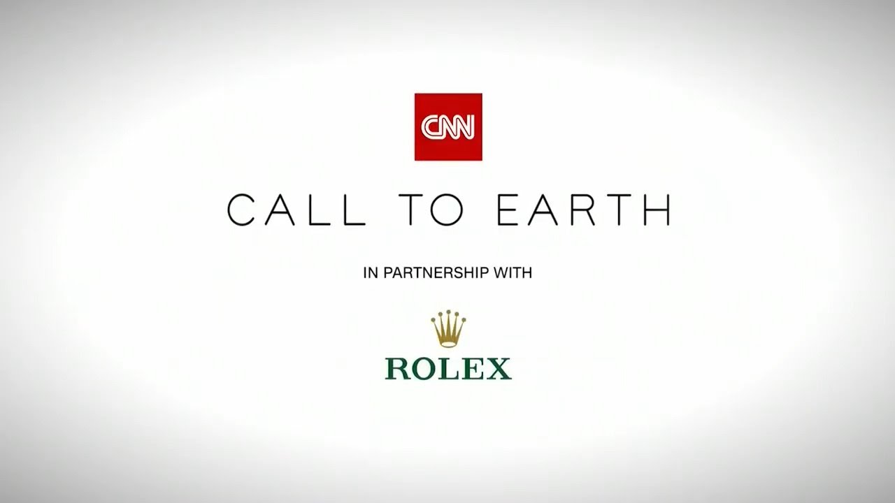 CNN International: 
