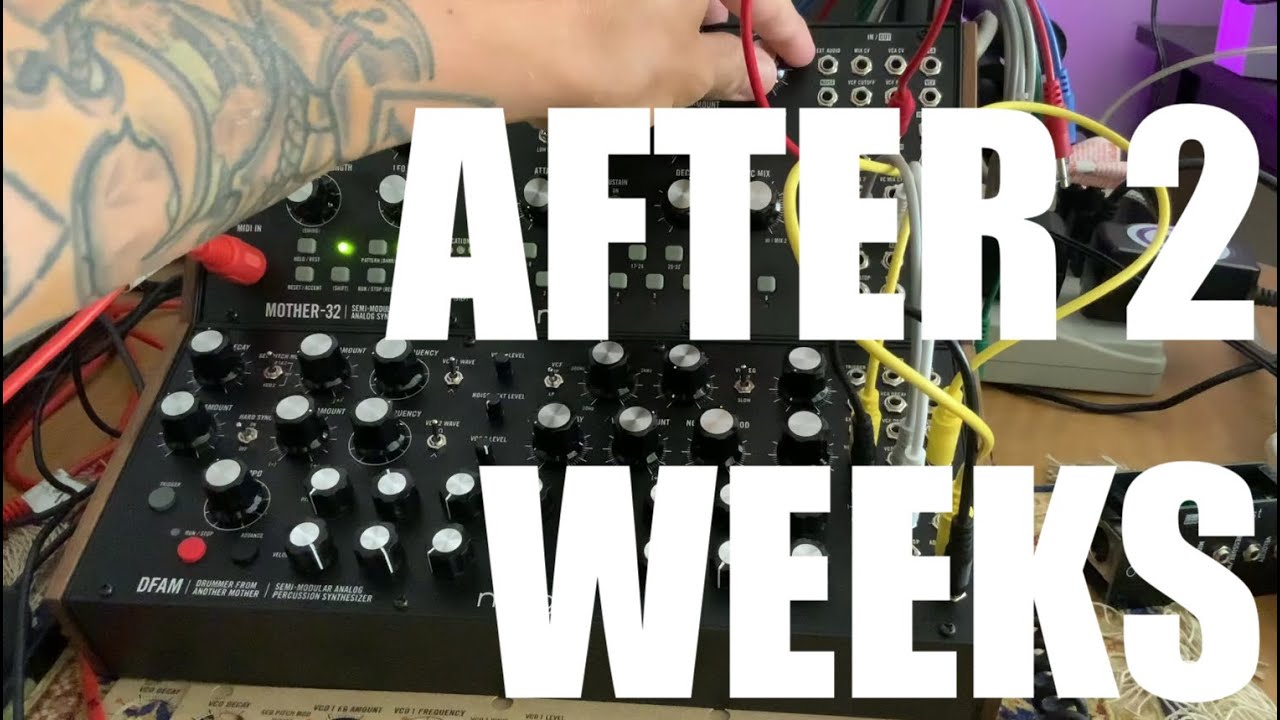 After 2 Weeks with the MOOG DFAM and MOTHER 32