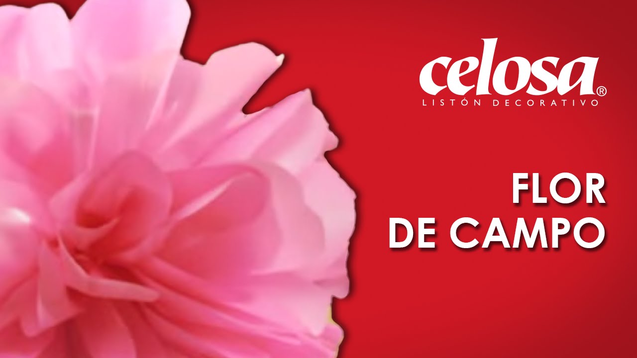 Manualidades y Decoración - Flor de campo
