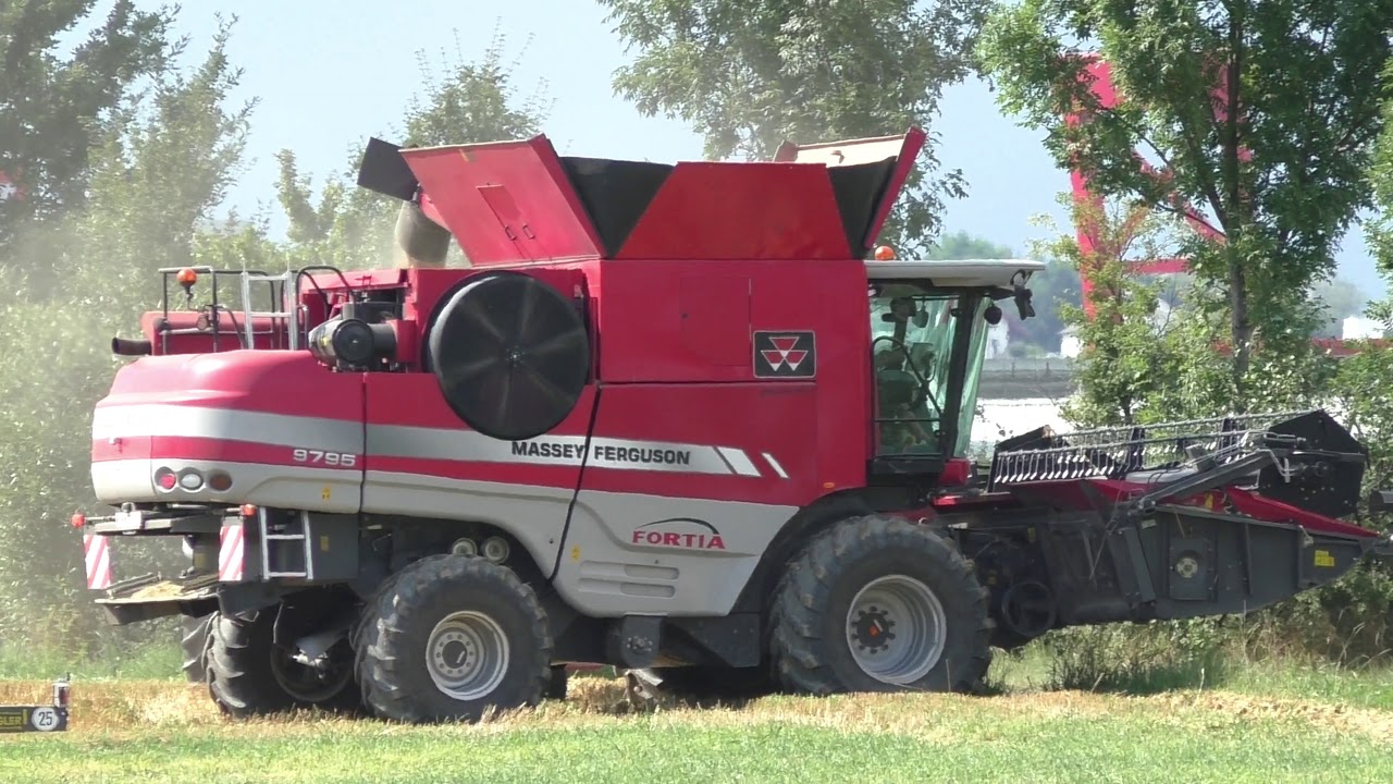 Getreide Ernte mit  Rotormähdrescher Massey Ferguson MF 9795 Baugleich wie Fendt Mähdrescher andere