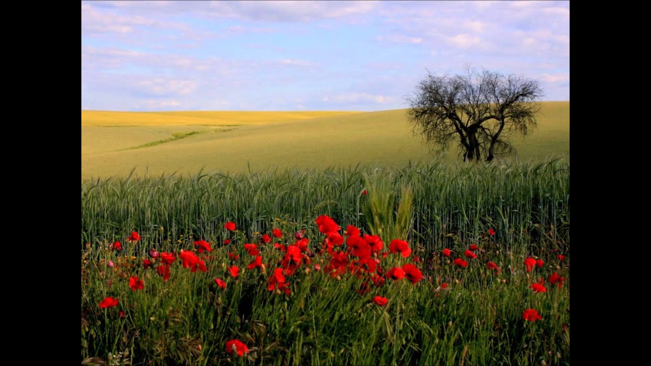 Tenho Saudade de Nao Ver o  Alentejo