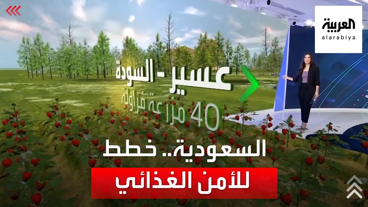 نشرة الرابعة | تعرف على خطط السعودية الزراعية لتعزيز أمنها الغذائي