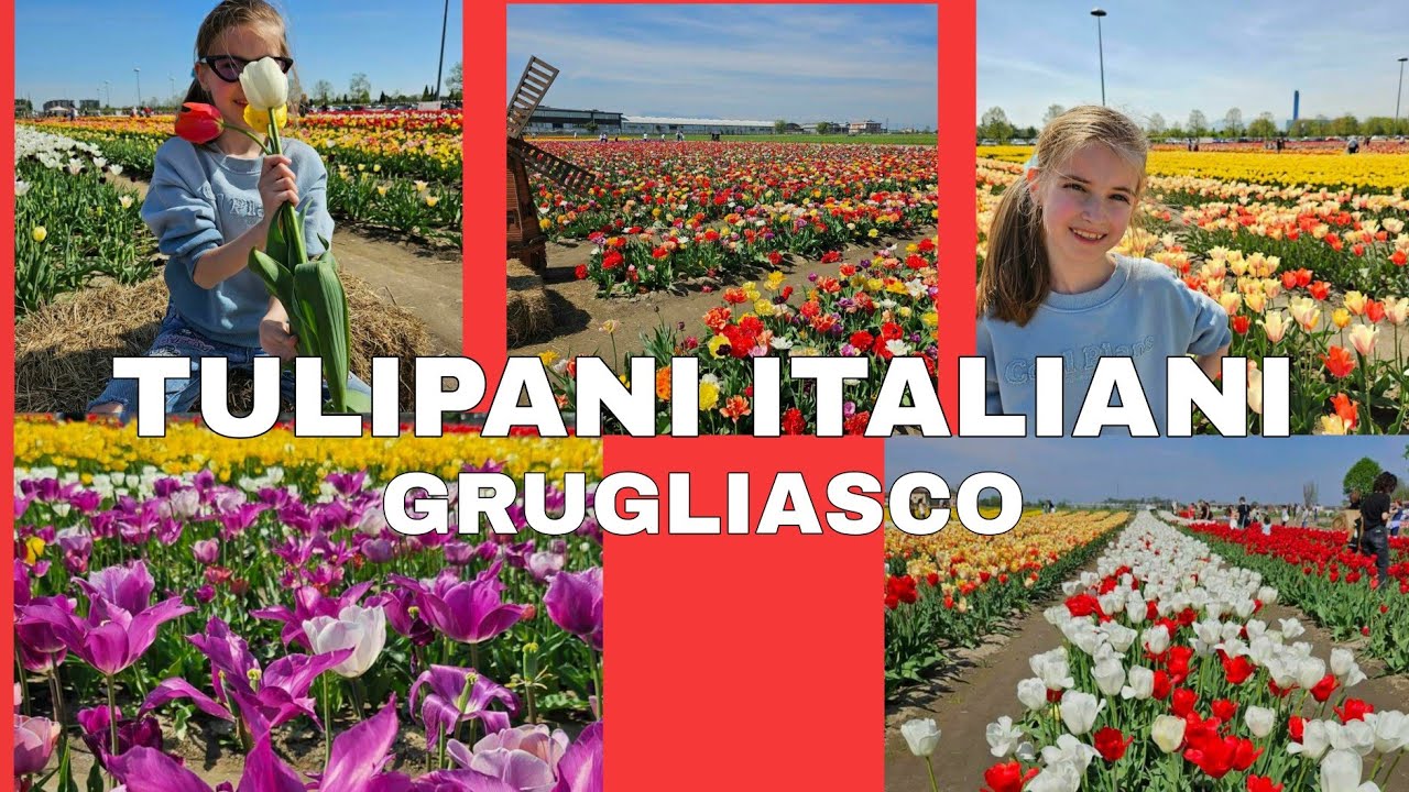 Tulipani Italiani Grugliasco 🌷 - Torino 2024 | Viaggio by Sofia L Official #SofiaLOfficial