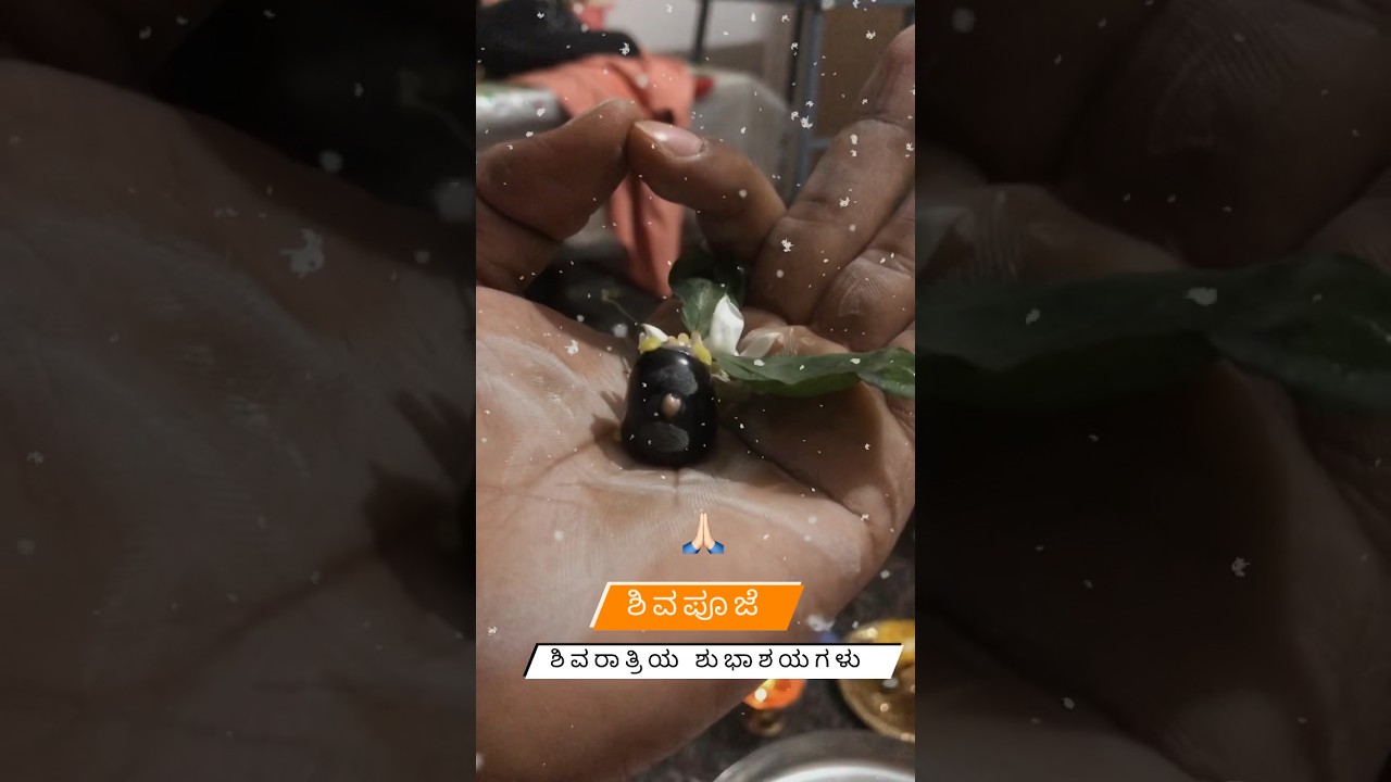 #shivapooja #lingayat #shivarathiri #omnamahshivaya #lingayats #shiva #shivalingashtakam #shivalinga