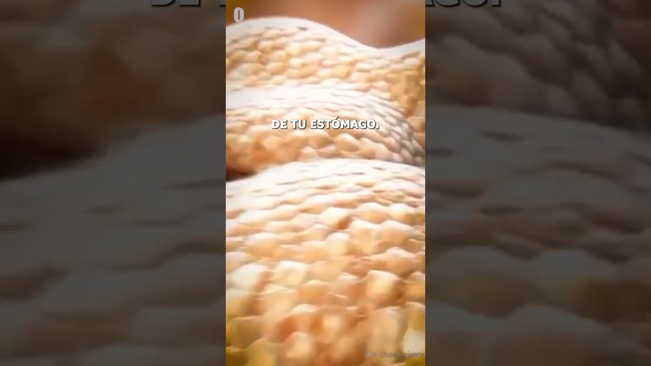 El &Aacute;cido que Podr&iacute;a Derretir Metal... y Vive en tu Cuerpo⚠️🔥