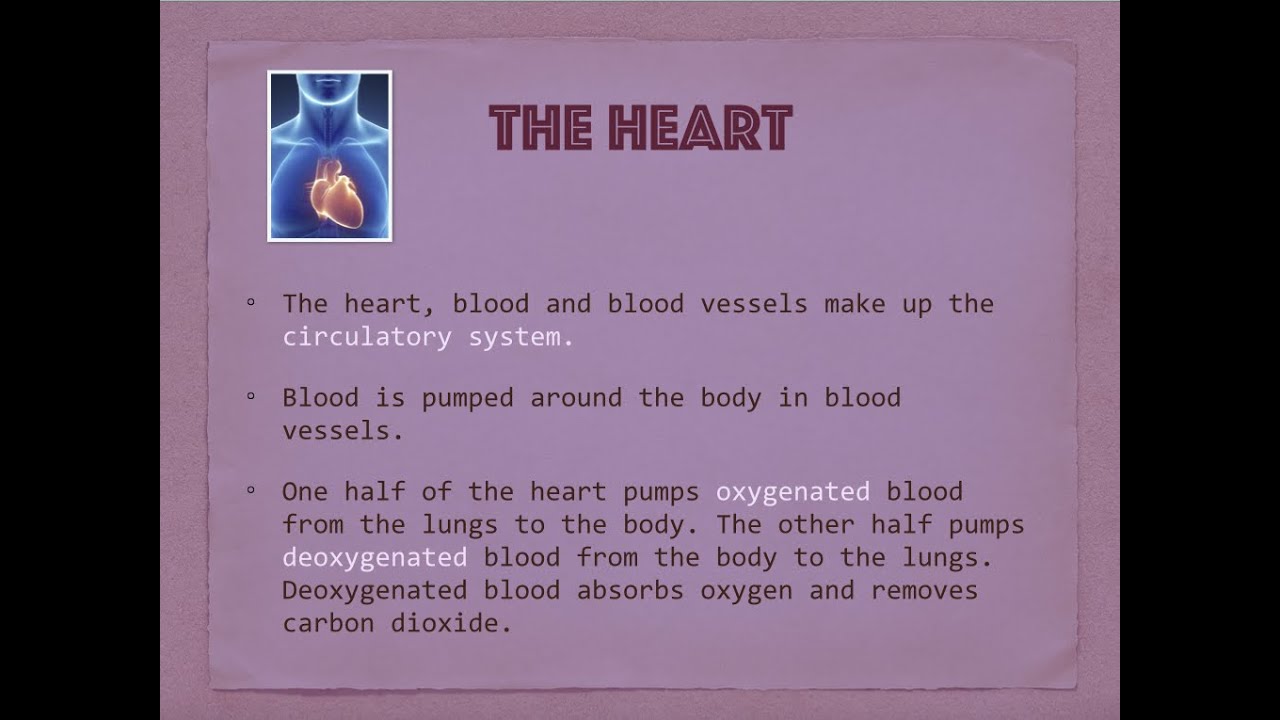 B2 GCSE ocr 21st century science