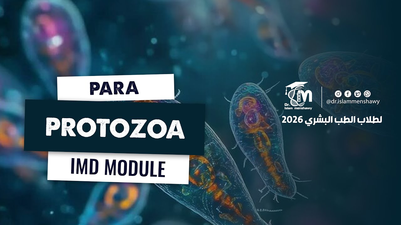 2- Protozoa  I  Parasitology  IMD Module 2026