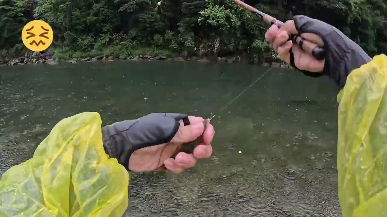 2025 11 19 快樂釣魚🎣趣 又濕又冷的坪林（坪安潭營地）