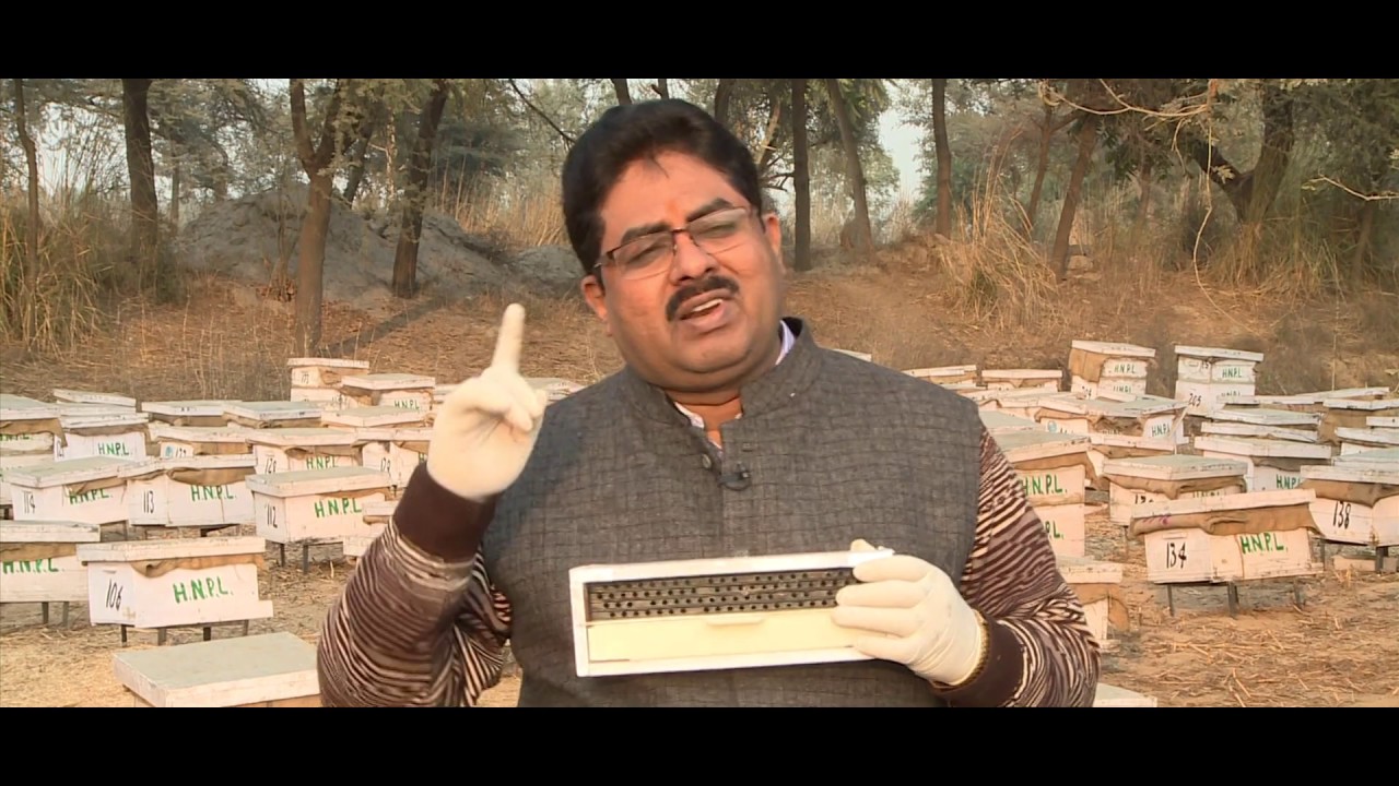 Bee Pollen Collection training in Hindi /English