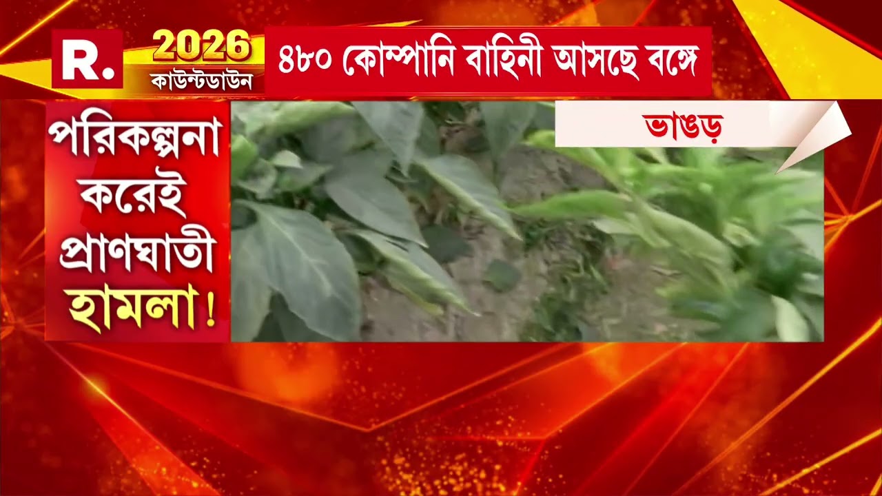 ভোটের আগেই উত্তপ্ত ভাঙড়। এবার ভাঙড়ে তৃণমূল বিধায়ক শওকত মোল্লার গাড়ি লক্ষ্য করে বোমা ও গুলি