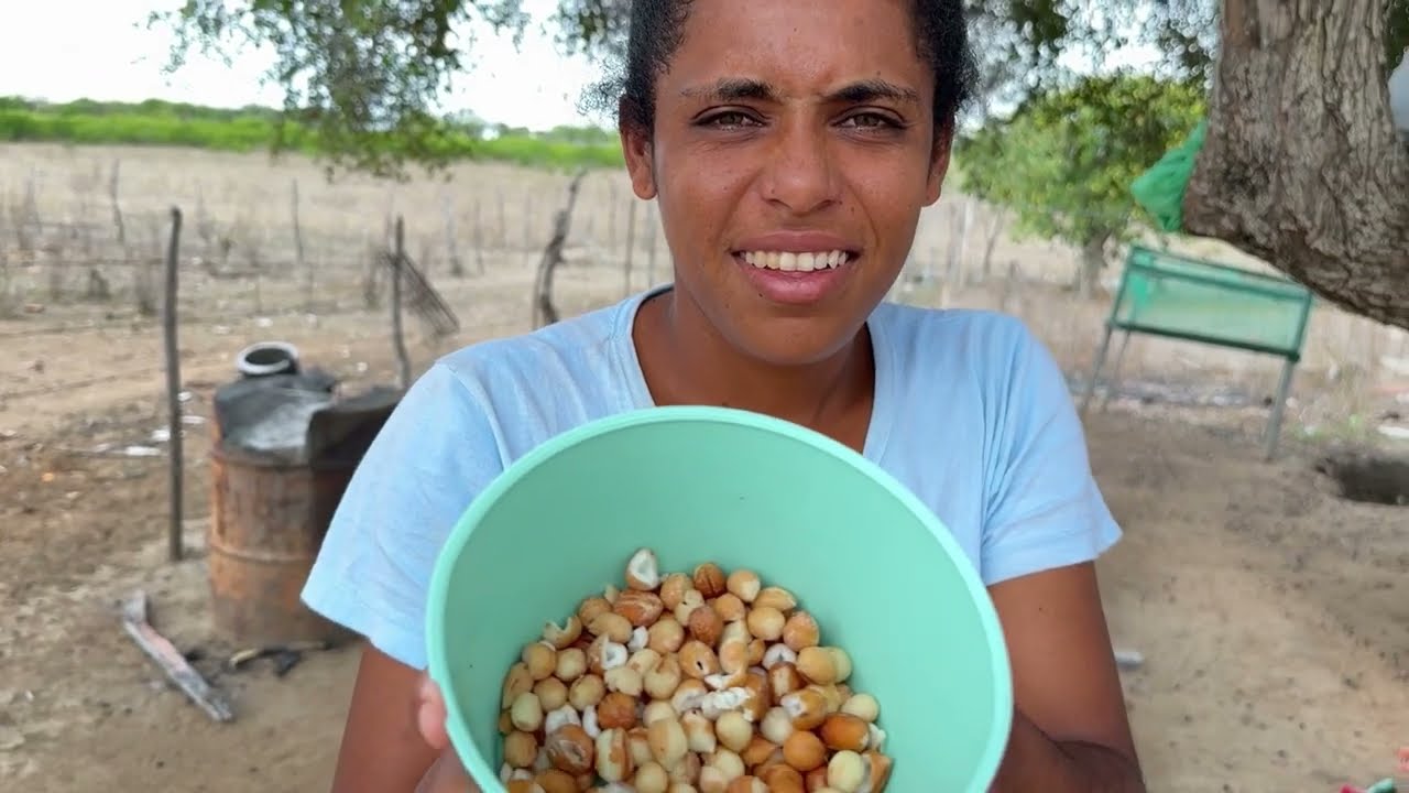  tirando cachos de licuri devez e fazer cocada 