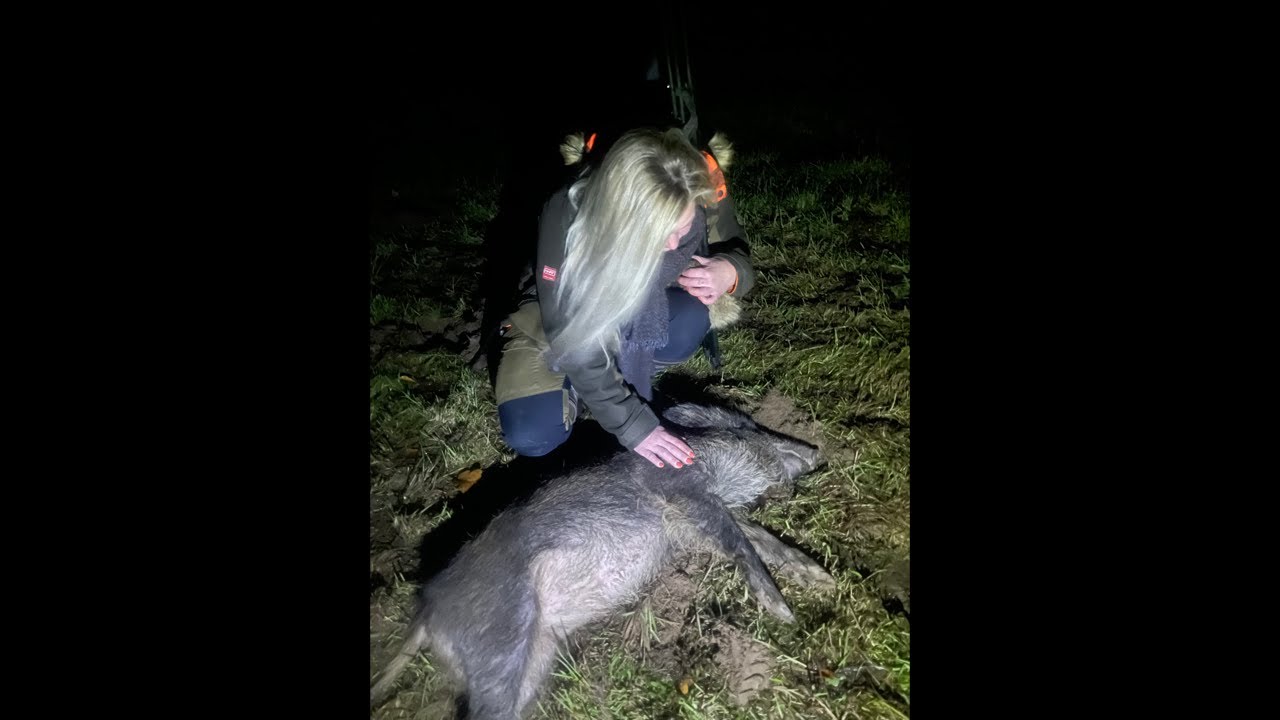 Wir essen ein Wildschein und zeigen wie es abgeschwartet und grob zerwirkt wird🐗😃💯👍