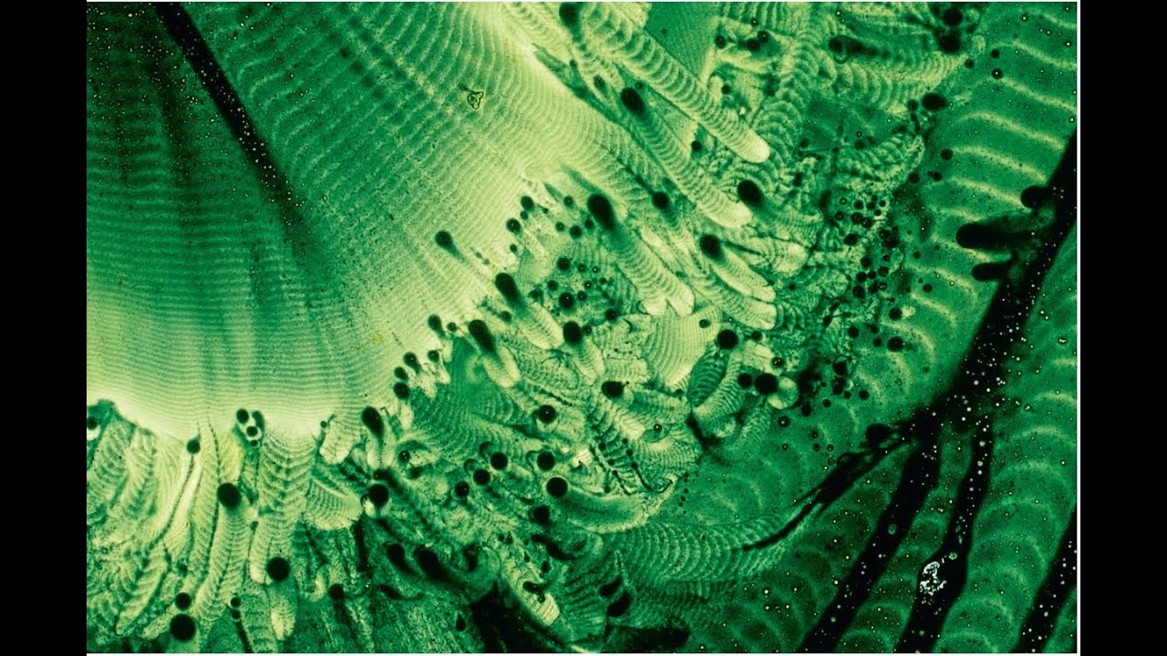 The Eidophone - Voice Figures - Margaret Watts Hughes