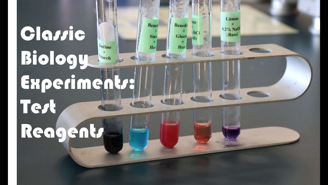 Classic Experiments in General Biology Lab - Test Reagents