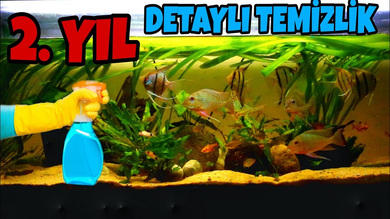 2 Yıl Sonunda Detaylı Temizlik! 220 Litre Karma Akvaryum