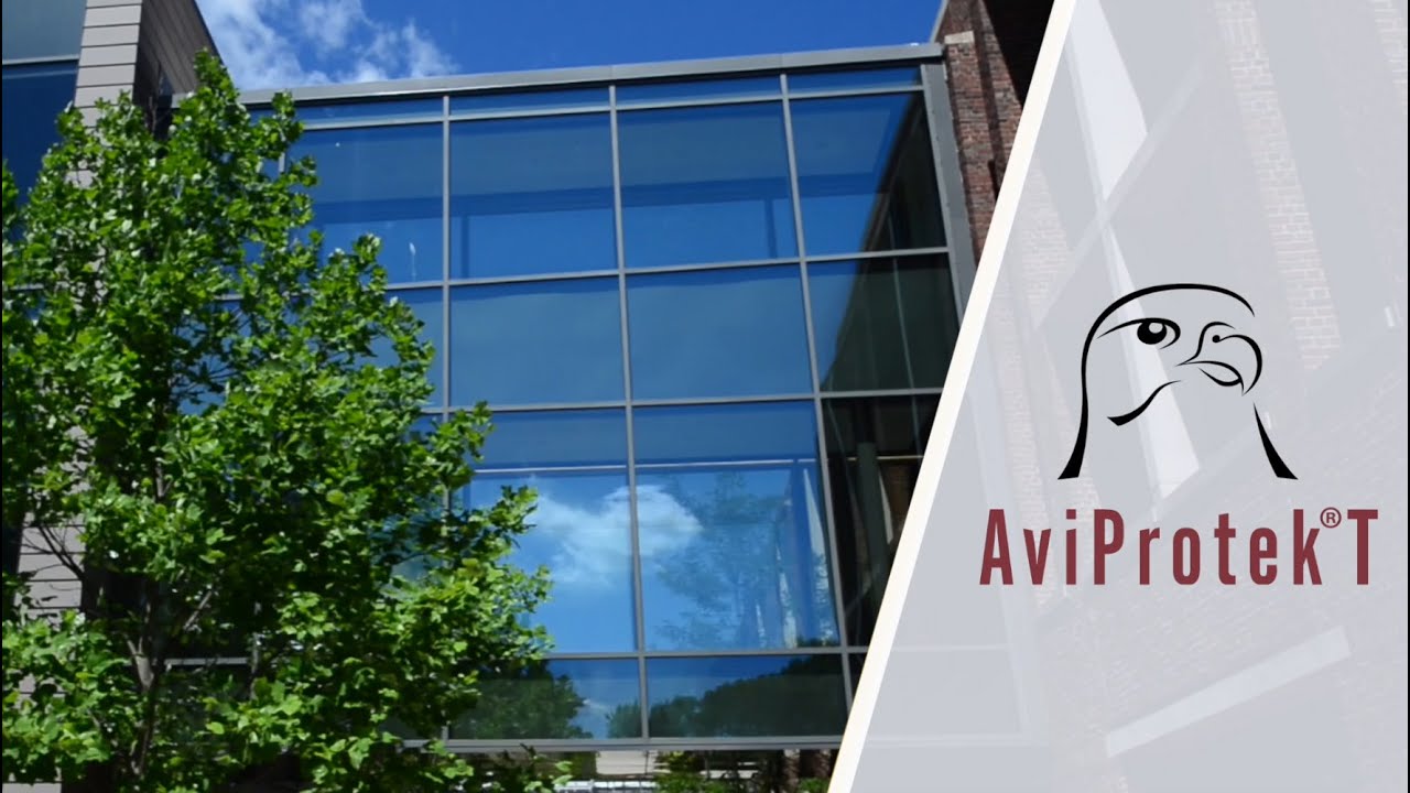 AviProtek® T a transparent bird friendly glass solution