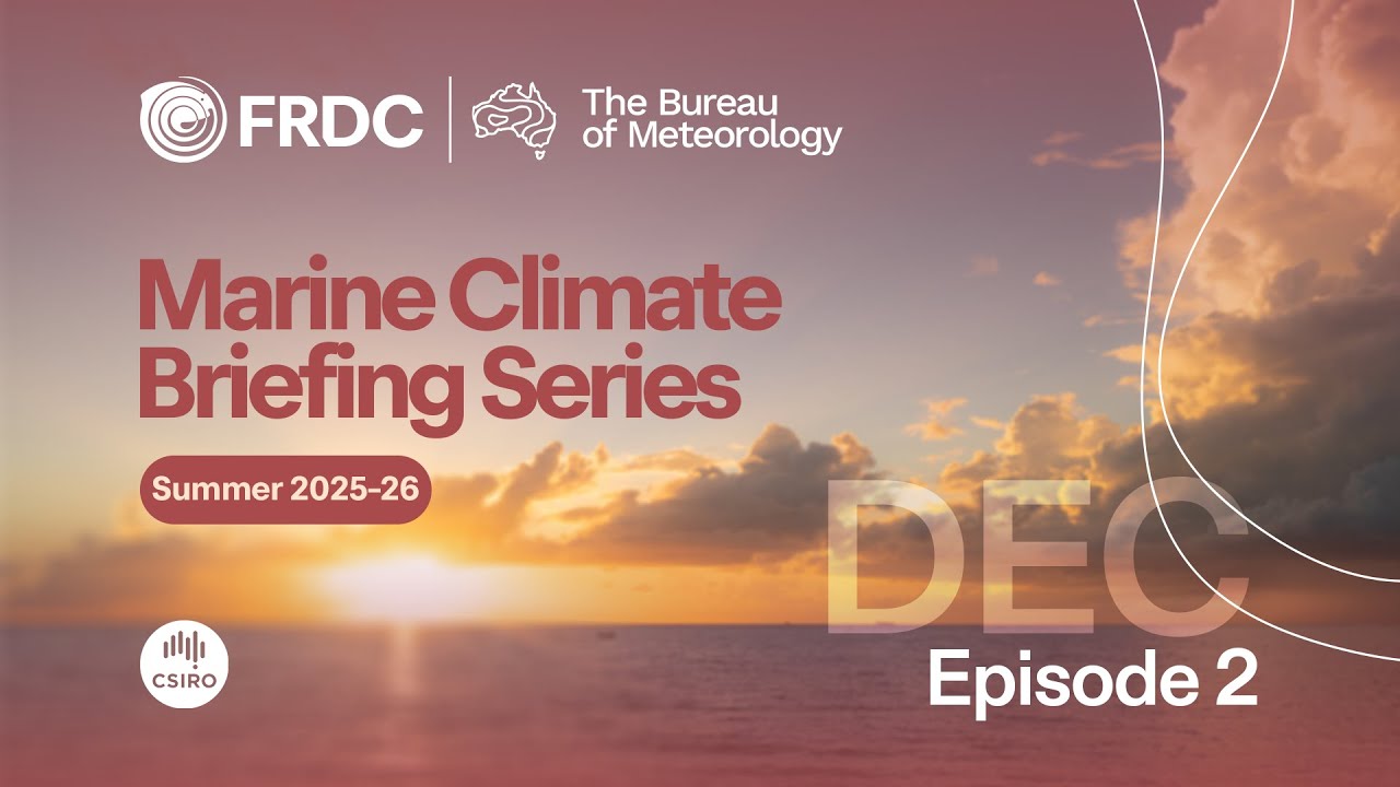Marine Climate Briefing 2025/26 Series #2: Dec 2025 - Feb 2026