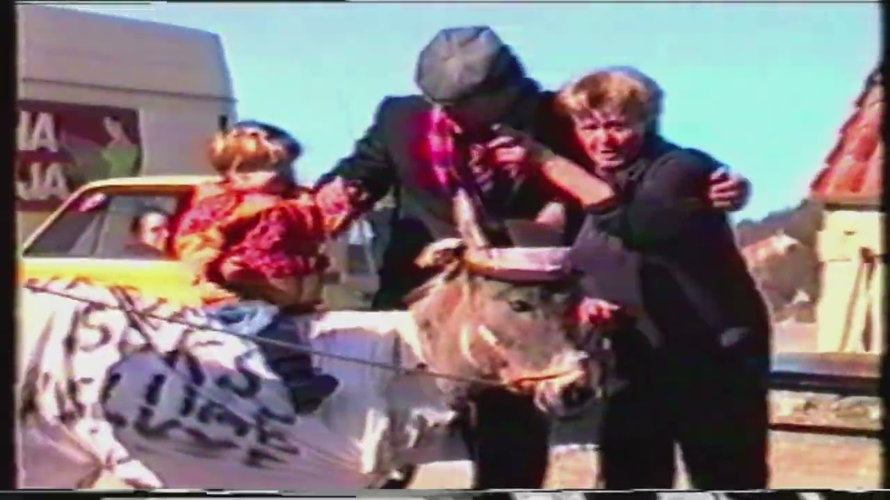 Didi s Kamešnice - Gljevački mačkari 1999