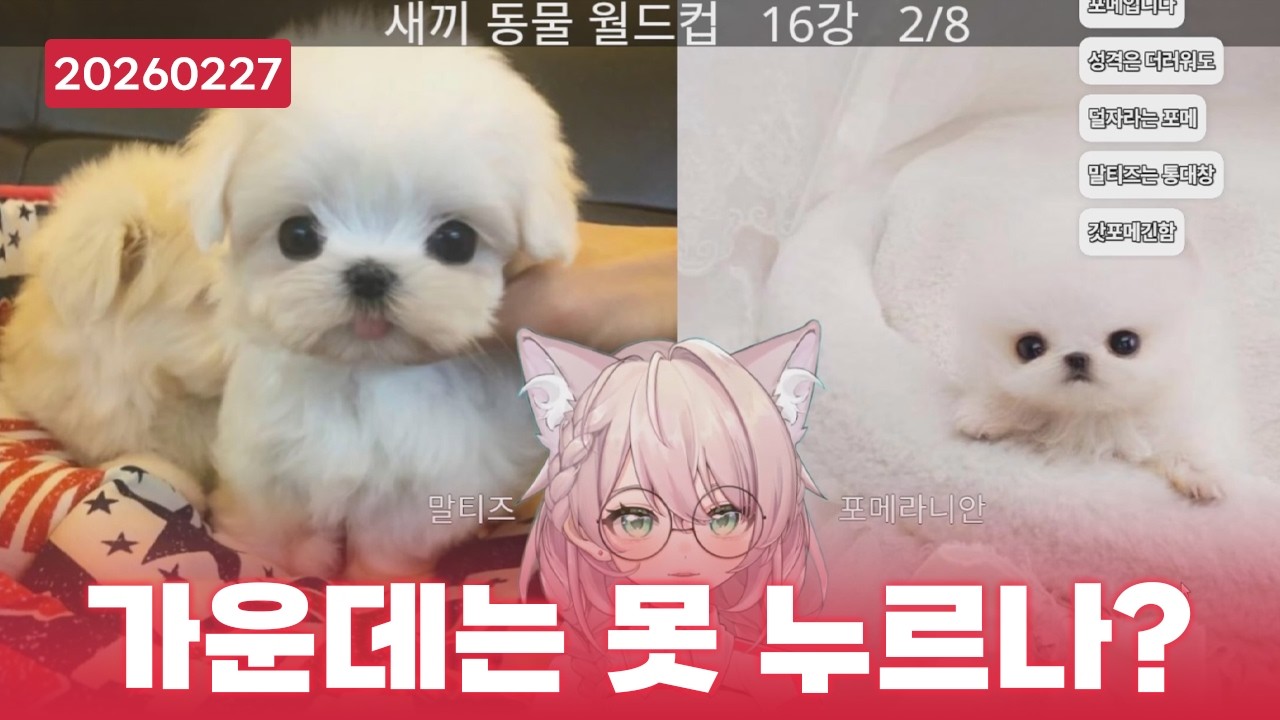 제일 귀여운 새끼 동물을 골라보자 [2026.02.27]