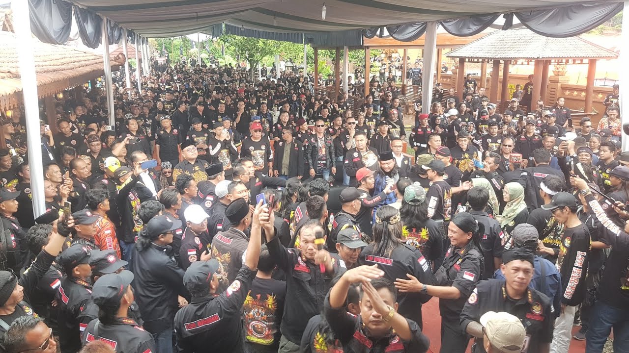 Luar Biasa, Anniversary Pertama LSM Harimau Dihadiri Ribuan Anggota