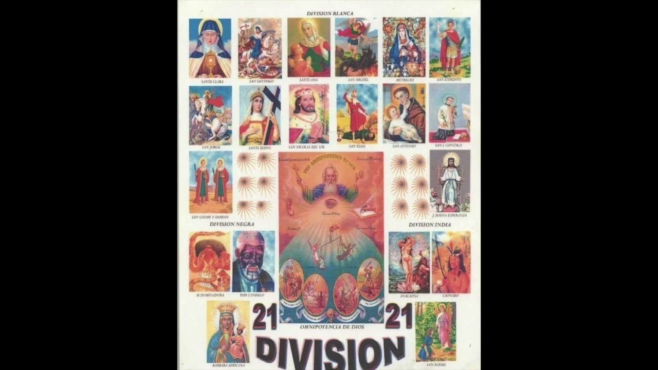 Palo Dominicano | 21 Division