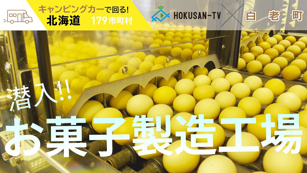 【白老町】たまごとお菓子の製造工場に潜入！養鶏6次化マザーズプラス～北海道キャンピングカー冒険 141/179市町村