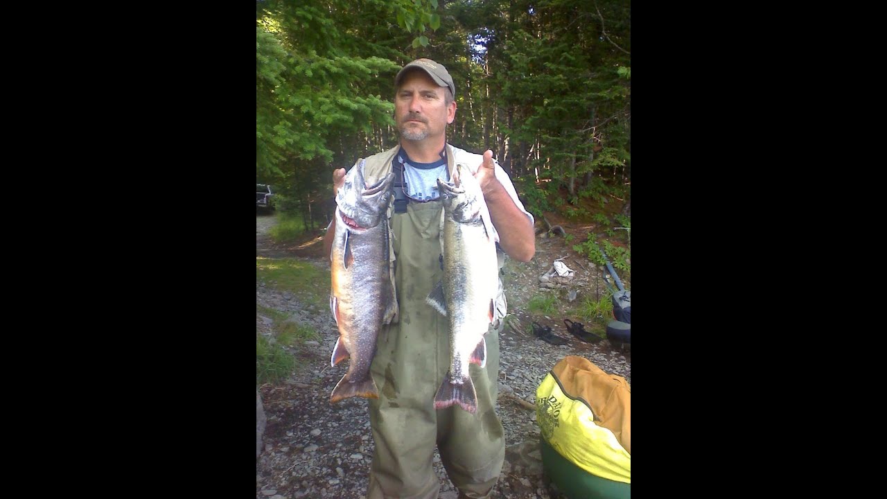 Big Fish Porn