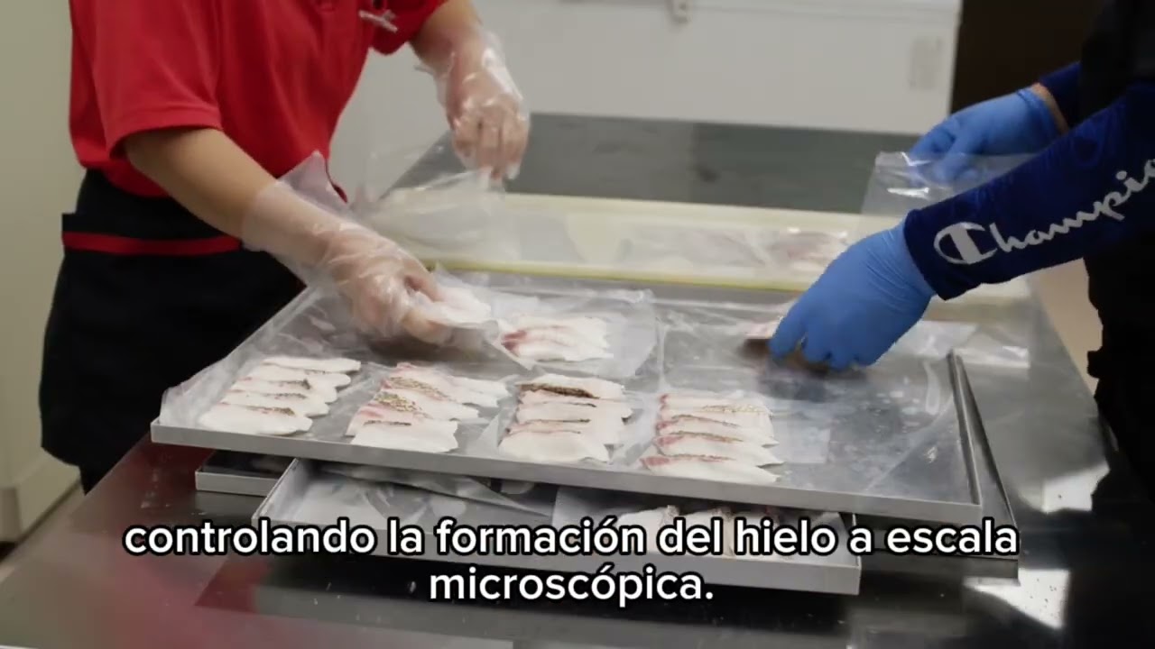 CONGELACION PROTON DE PESCADO PARA SUSHI