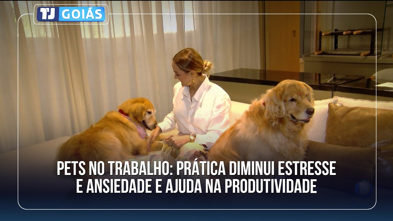 PETS NO TRABALHO: PRÁTICA DIMINUI ESTRESSE E ANSIEDADE E AJUDA NA PRODUTIVIDADE