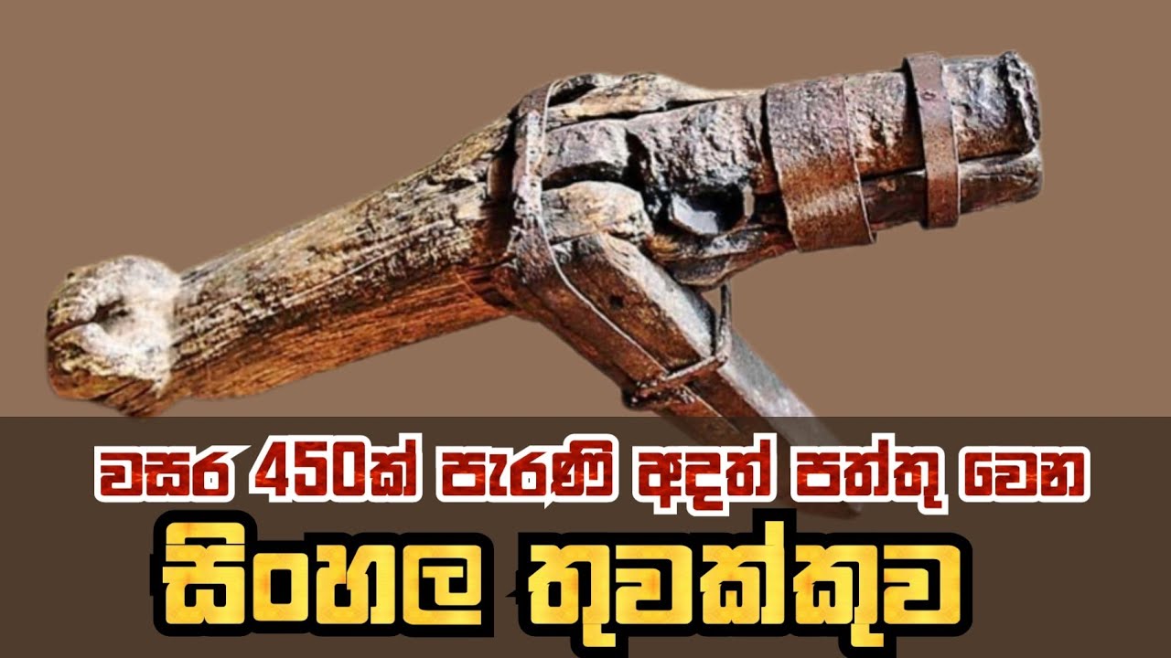 ලංකාවේ නිපද වු පළමු සිංහල තුවක්කුව 😲😳🇱🇰 | A KING MADE FIRST GUN IN SRI LANKA